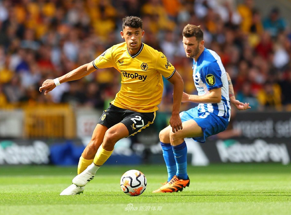 的深化和队 的深化和队